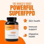 Mushroom Powder Capsules Manufacturer - Private Label Organic Chaga Extract Chaga Powder