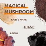 Shilajit Coffee Powder Manufacturer - Wholesale Bulk Natural Organic Pure Extract