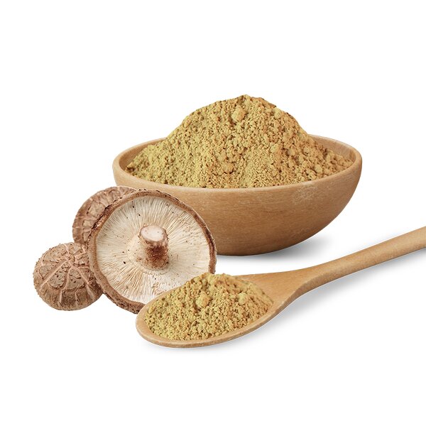 Mushroom Extract Powder Manufacturer - Lentinus Edodes Extract Polysaccharides 10:1 20:1 Organic Shiitake