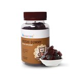 Mushroom Extract Powder Manufacturer - EU & USDA Organic Ganoderma Lucidum Reishi Dual Extract