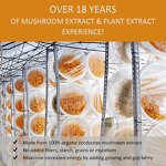 Cordyceps Extract Powder Manufacturer - Militaris 0.3%cordycepin 3%cordycepin Chinese 1Kg