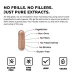 Cordyceps Capsule Manufacturer - Private Label Natural Organic Extract Powder Mushroom