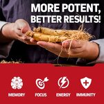 Ginseng Capsules Manufacturer - Men Healthcare Supplements Korean Red Root Vegan