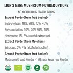 Mushroom Extract Powder Manufacturer - High Quality 10:1 Tremella 30% Beta D Glucan Organic