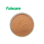 Turmeric Root Extract - Bulk Low Price 95% Curcumin Nano Turmeric Powder