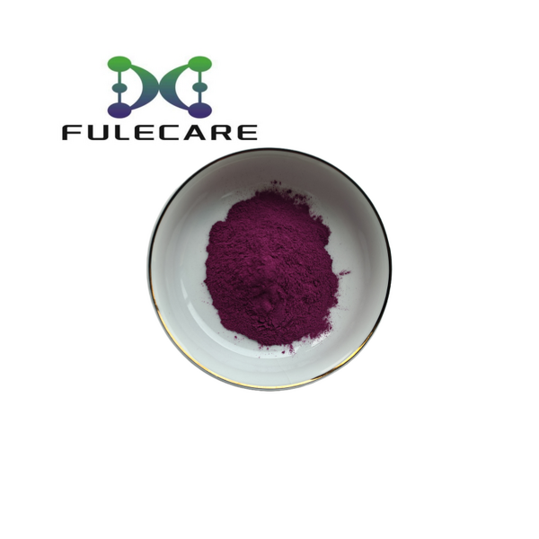 Loofah Extract - High Quality Wholesale Food Grade Natural Loofah Plant Extract