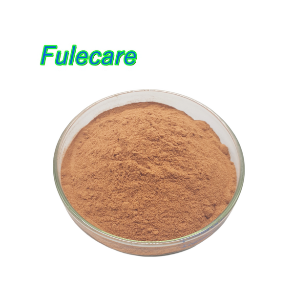 Turmeric Root Extract - Bulk Low Price 95% Curcumin Nano Turmeric Powder