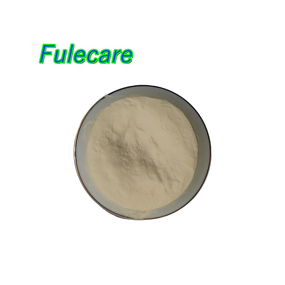 Type II Collagen Powder - High Quality Hydrolyzed Type 2 Collagen Best Price Supply