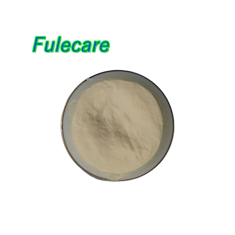 Type II Collagen Powder - High Quality Hydrolyzed Type 2 Collagen Best Price Supply