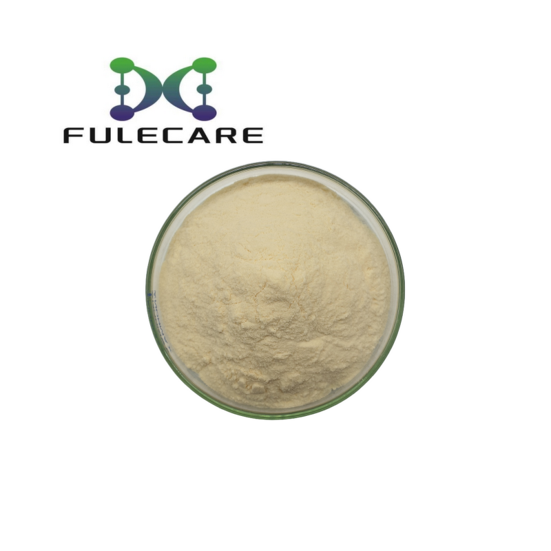 Wheat Extract Powder - Pure Natural Healthy Products Wheat Root Extract Supplement