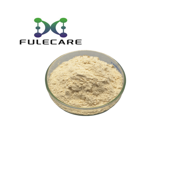 Dandelion Root Extract - Best Natural Herbal 10:1 5% Flavonoids Extract Powder