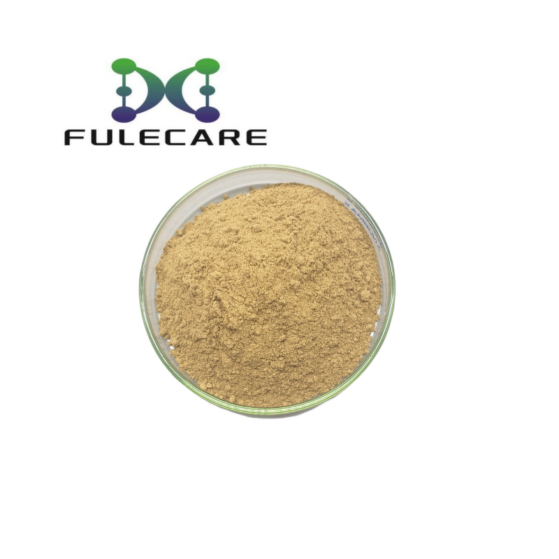 Bilberry Extract - Hot Sale Bulk Natural Antioxidant Bilberry Fruit Extract Powder