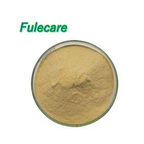 Monk Fruit Extract - Bulk Luo Han Guo Natural Sweetener Fruit Powder Supply