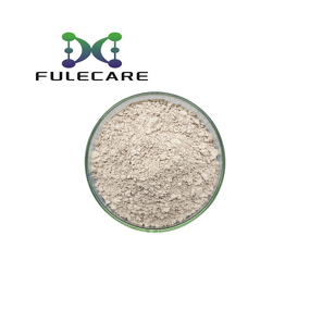 Ferulic Acid Powder - Natural Cosmetic Ingredient High Purity Supply