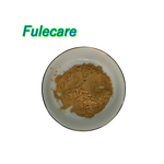 Enoki Mushroom Extract Capsules - OEM Service Natural Mushroom Extract Supplement