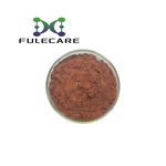 Lychee Powder - 100% Natural Lychee Fruit Juice Extract Food Grade Powder