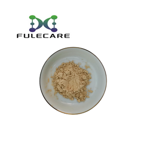 Fig Powder - Hot Selling Natural Organic Freeze Dried Fig Fruit Extract Powder