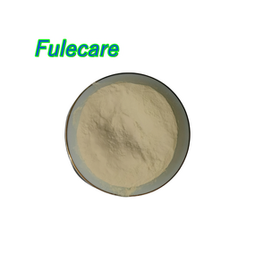 Pediococcus Pentosaceus Powder - Premium Quality Food Grade Dietary Supplement