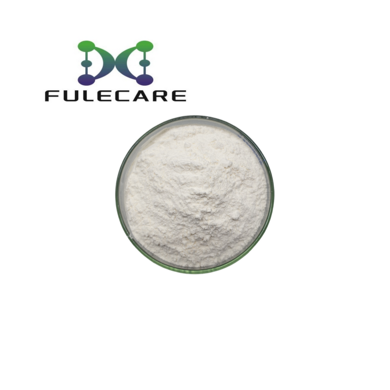 Cucumber Extract - Food Grade Water Soluble Vegetable Source Natural Nutrition Powder