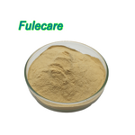 Monk Fruit Extract - Bulk Luo Han Guo Natural Sweetener Fruit Powder Supply