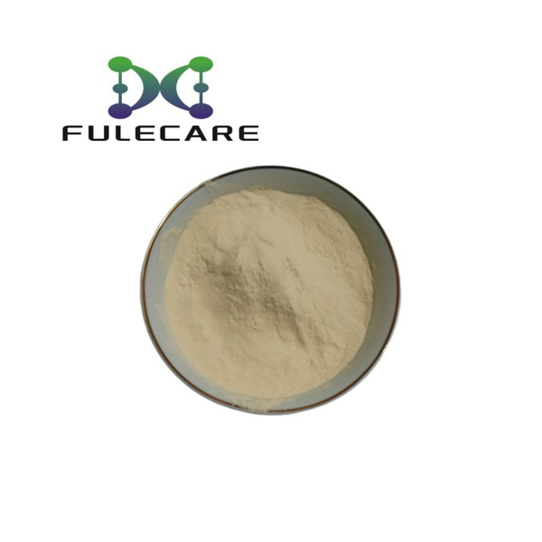 Sunflower Lecithin - High Quality Organic Natural Lecithin Powder Food Additive