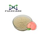 Wheat Extract Powder - Pure Natural Healthy Products Wheat Root Extract Supplement