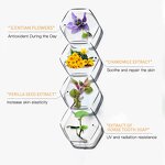 Face Cream Manufacturer - VC Wholesale Korean Private Label Whitening Organic Anti Aging Lightening Moisturizer