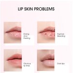 Lip Balm Manufacturer - OEM Wholesale Custom Natural Organic Vegan Lightening Moisturizing Lip Balm