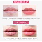 Lip Oil Manufacturer - Private Label Natural Organic Vegan Fruits Flavor Soft Clear Lip Oil Shiny Lip Gloss