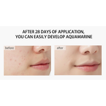 Cream Manufacturer - OEM Best Selling Herbal Spot Blemish Freckle Removal Anti-Wrinkle Whitening Cream