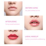 Lip Scrub Manufacturer - Wholesale Custom Logo Private Label Lightening Natural Moisturizing Vegan Pink Lip Scrub