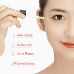 Essential Oil Manufacturer - Private Label Skin Care Massage Oil 100% Pure Natural Organic Rose Petal