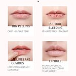 Lip Balm Manufacturer - Lip Moisturizer Balm Organic Orange Watermelon Lip Sleeping Mask Moisturizing