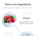 Face Serum Manufacturer - Korean Private Label Vegan Anti Aging Dark Spot Remover Alpha Arbutin Whitening Serum