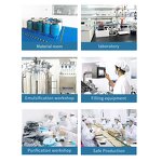 Foundation Manufacturer - Private Label Skin Care Moisturizing Concealer Mushroom Head Air Cushion CC Cream