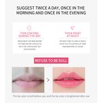 Lip Oil Manufacturer - Private Label Natural Organic Vegan Fruits Flavor Soft Clear Lip Oil Shiny Lip Gloss