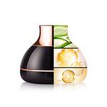 Foundation Manufacturer - Custom logo Concealer Cushion Foundation Air Cushion Whitening BB Cream