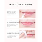 Lip Balm Manufacturer - Private Label Custom Logo Natural Vegan Moisturizing Lip Care Chapstick Organic Lip Balm