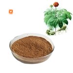 Panax Notoginseng Extract - Pure Natural Triterpenes San Qi Root Powder