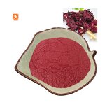 Hibiscus Flower Extract - Best Price Factory Supply Instant Water Soluble Powder