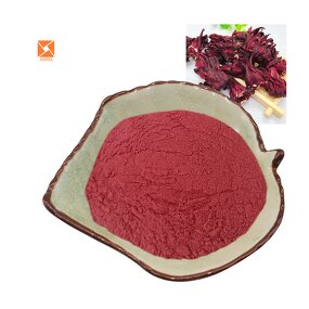 Hibiscus Flower Extract - Best Price Factory Supply Instant Water Soluble Powder