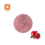 Pomegranate Juice Powder - OEM Food Grade Spray Dried High Quality Extract