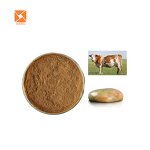 Ox Bile Extract - Bovine Bile Powder 45% Bile Acid 8008-63-7