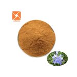 Rosemary Extract - Natural Halal High Quality 5% Rosmarinic Acid Powder