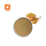Fenugreek Seed Extract - High Quality Trigonelline Powder Natural Supply