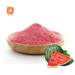 Watermelon Extract - Factory Supply Bulk Instant Natural Fruit Juice Powder