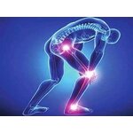 Chondroitin Sulfate - Supplement 90% Pure Powder CAS 9007-28-7