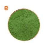 Matcha Powder - Pure Nature Organic Green Wholesale Spray Dried Tea Powder