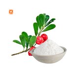 Alpha Arbutin - Best Price Skin Whitening Natural Plant Extract Powder