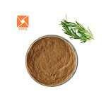 Rosemary Extract - Natural Halal High Quality 5% Rosmarinic Acid Powder